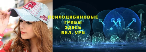 кокс Алексин