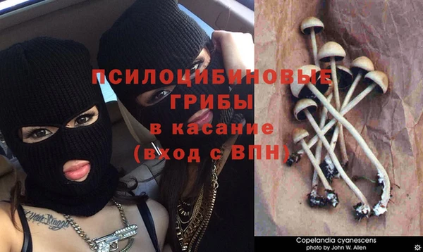 кокс Алексин