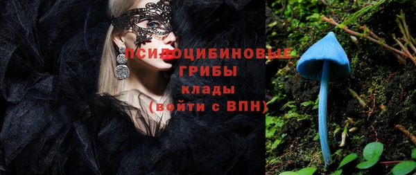 кокс Алексин